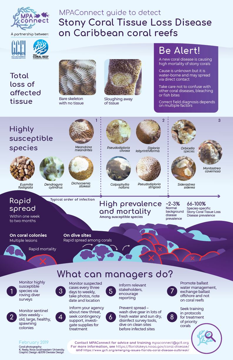 Stony Coral Tissue Loss Disease - Gulf and Caribbean Fisheries