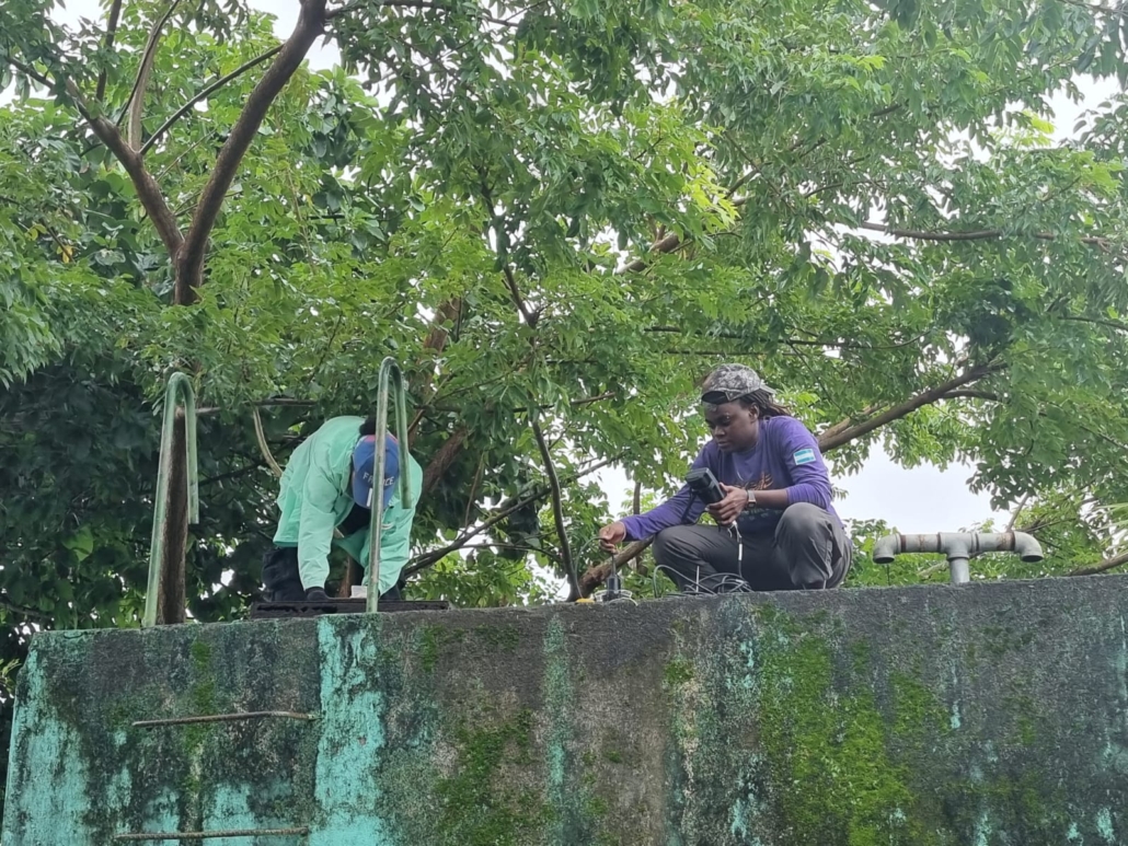 31ebb043-34f7-4a21-ac18-df48b3d99e87