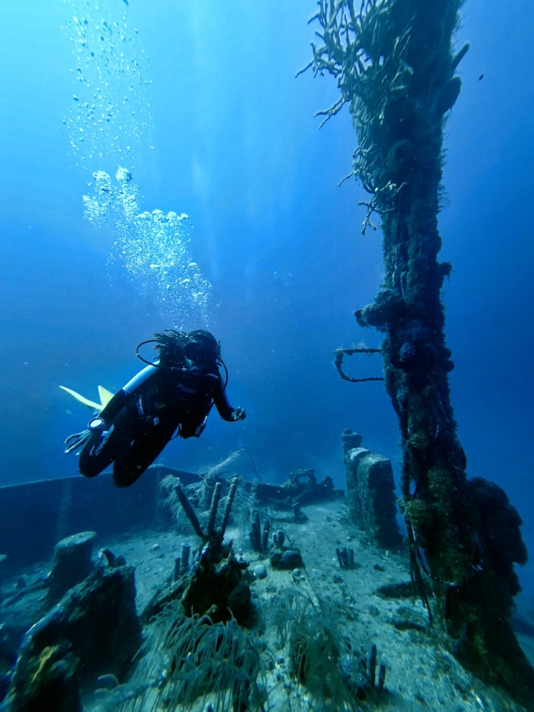 WhatsApp Image 2025-11-04 at 4.13.36 PM