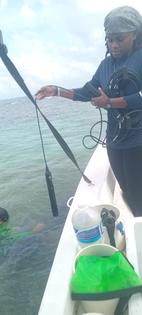 WhatsApp Image 2026-02-05 at 3.41.34 PM (2)